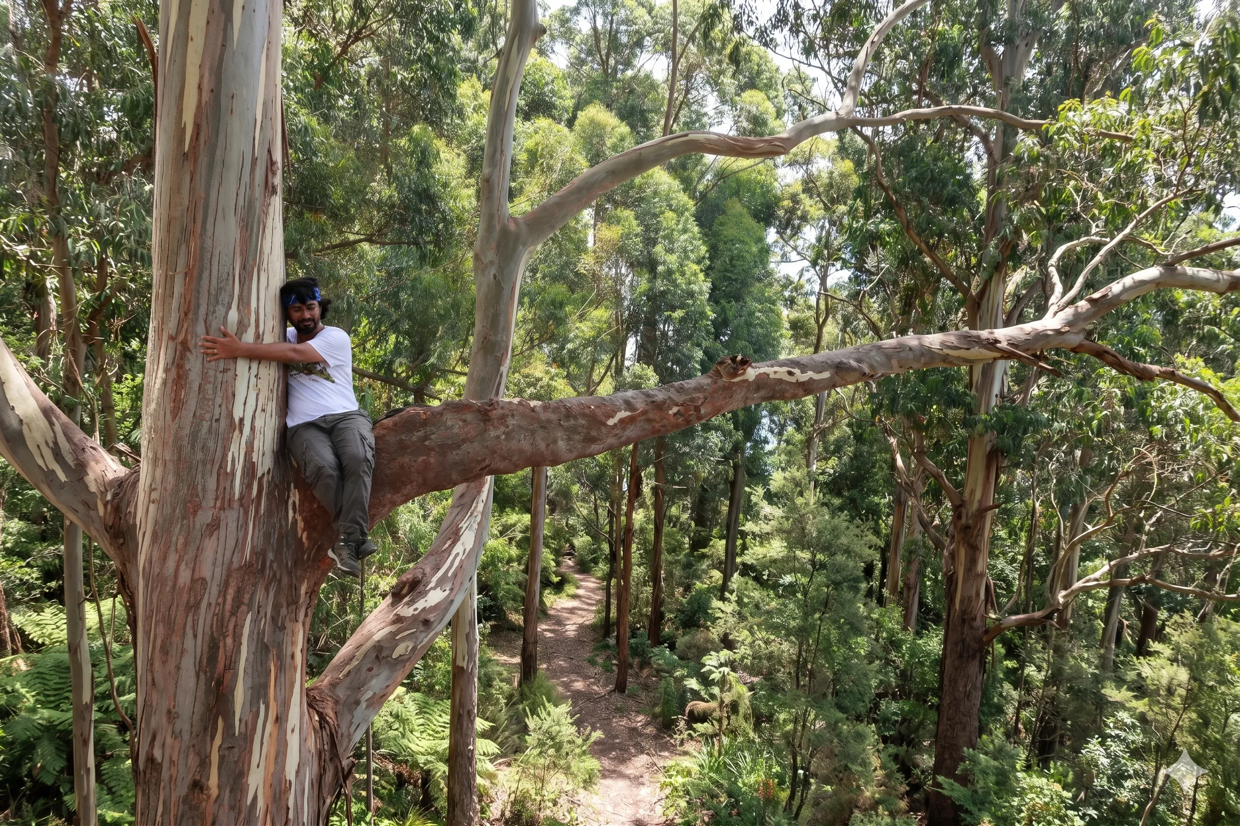 #NatureCircle — a community for nature & conversation